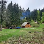 Koca V Gozdu, Forest House Near *