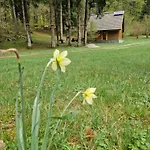 Koca V Gozdu, Forest House Near