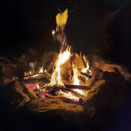 Koca V Gozdu, Forest House Near *