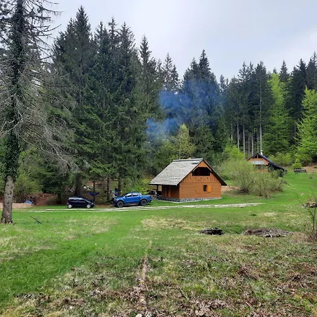 Koca V Gozdu, Forest House Near *