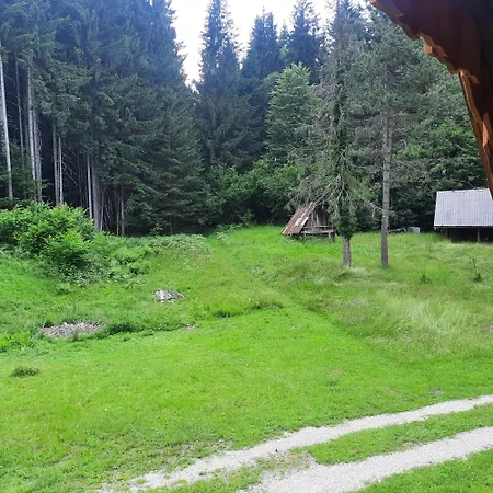 Koca V Gozdu, Forest House Near