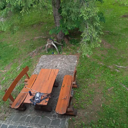 Daire Koca V Gozdu, Forest House Near