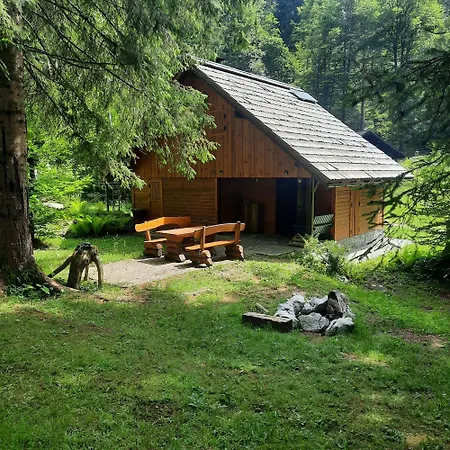 Koca V Gozdu, Forest House Near