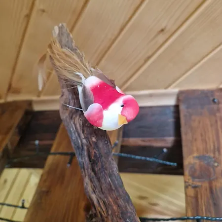 Koca V Gozdu, Forest House Near * Bled