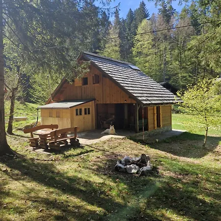 Koca V Gozdu, Forest House Near