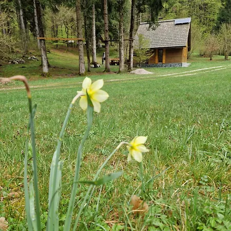 Koca V Gozdu, Forest House Near