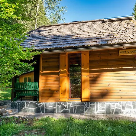 Koca V Gozdu, Forest House Near