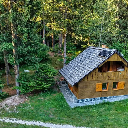 Apartment Koca V Gozdu, Forest House Near *