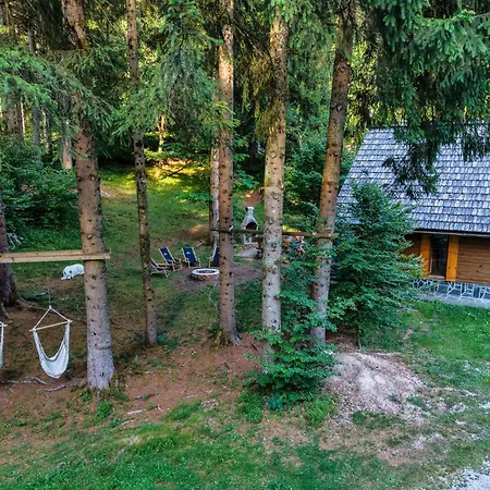 Koca V Gozdu, Forest House Near *