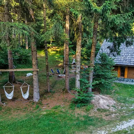 Koca V Gozdu, Forest House Near Apartment