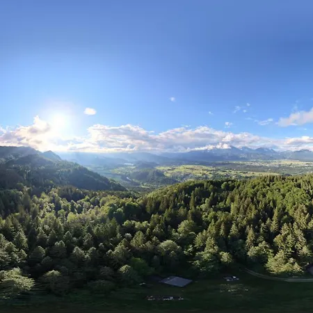 Koca V Gozdu, Forest House Near *