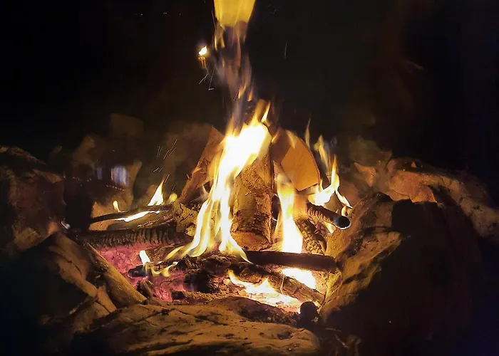 Koca V Gozdu, Forest House Near *