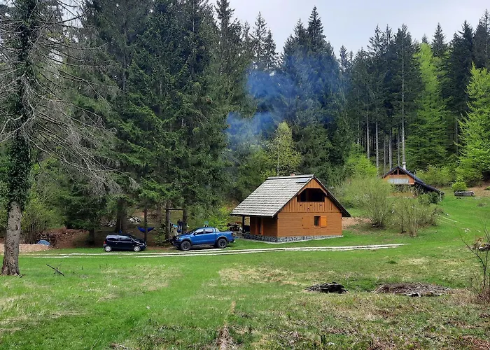 Koca V Gozdu, Forest House Near *