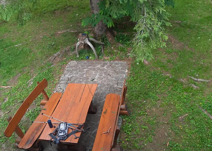 Διαμέρισμα Koca V Gozdu, Forest House Near