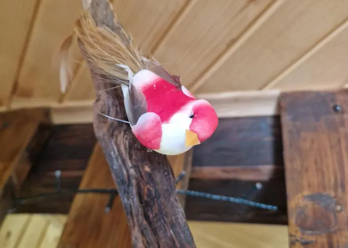 Koca V Gozdu, Forest House Near * Μπλεντ