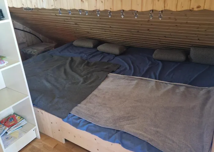 Koca V Gozdu, Forest House Near *