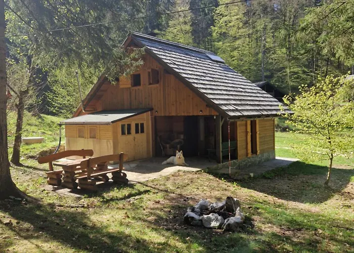 Koca V Gozdu, Forest House Near